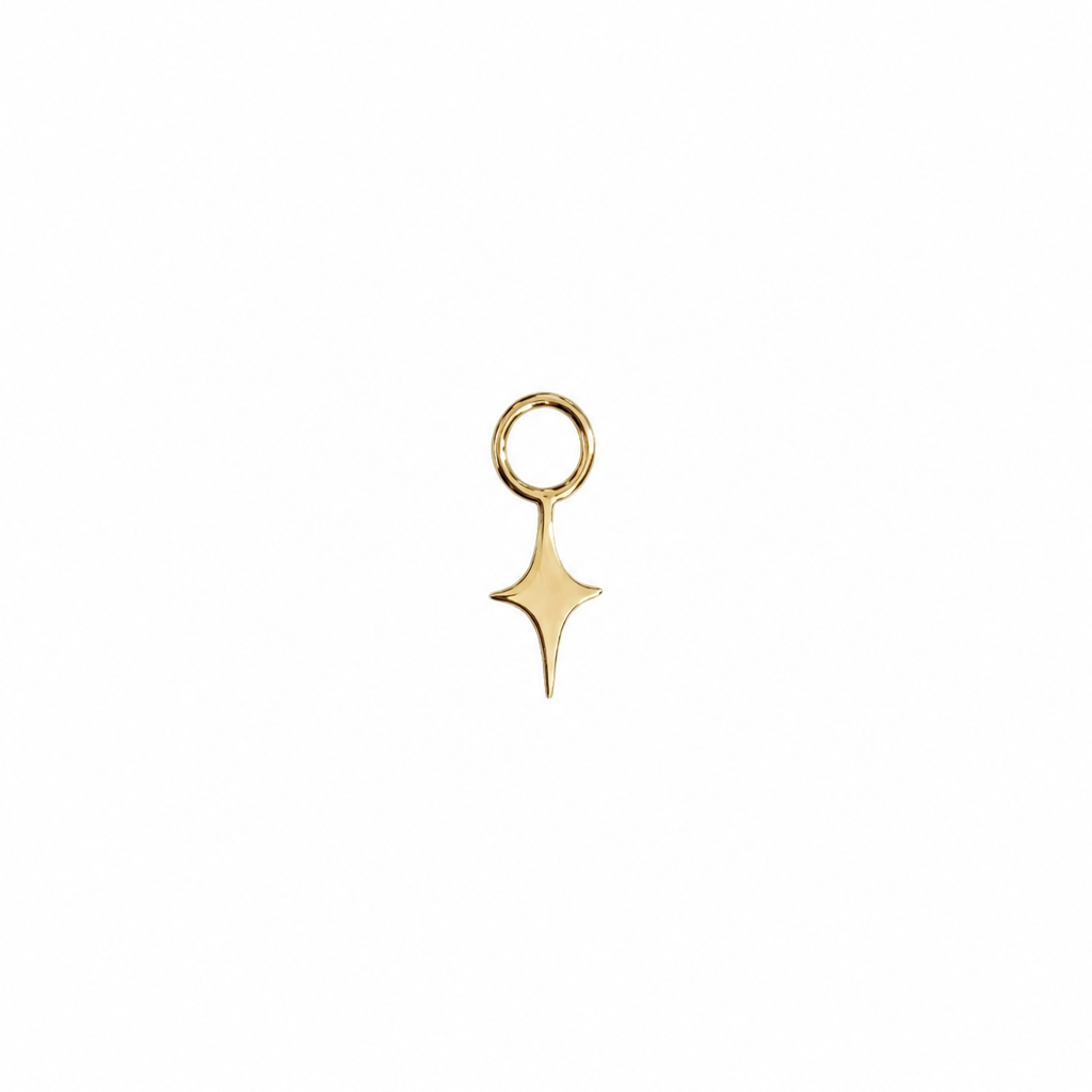 R2S - 4 Point Star - Charm